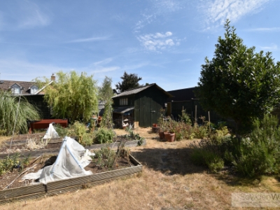 Picture 19